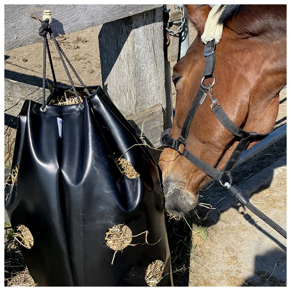 Tasche, Zubehör, Handtasche, Pferd, Säugetier