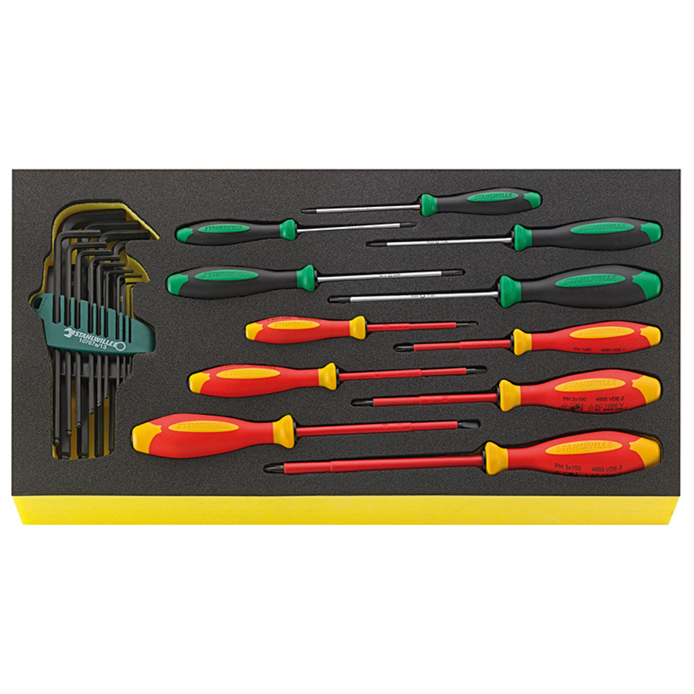 Stahlwille TCS WT 4650-4665 Screwdriver set DRALL+ 24 pieces in TCS insert