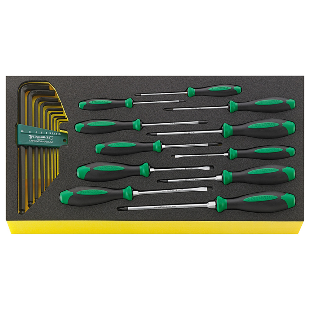 Stahlwille TCS WT 4622-4650 Screwdriver set DRALL+ 20 pieces in TCS insert