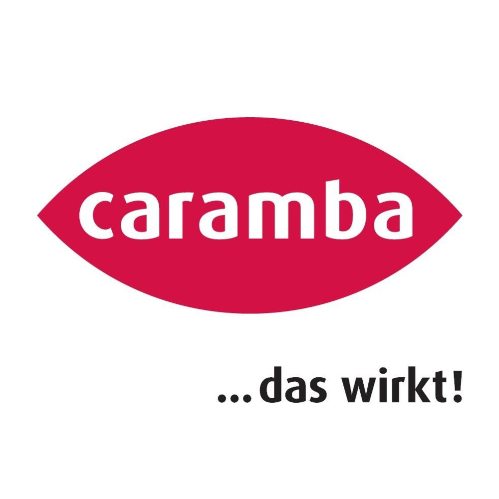 Caramba Zink-Spray Alu-hell - Ein schnell trocknender, abriebs